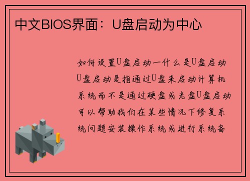 中文BIOS界面：U盘启动为中心